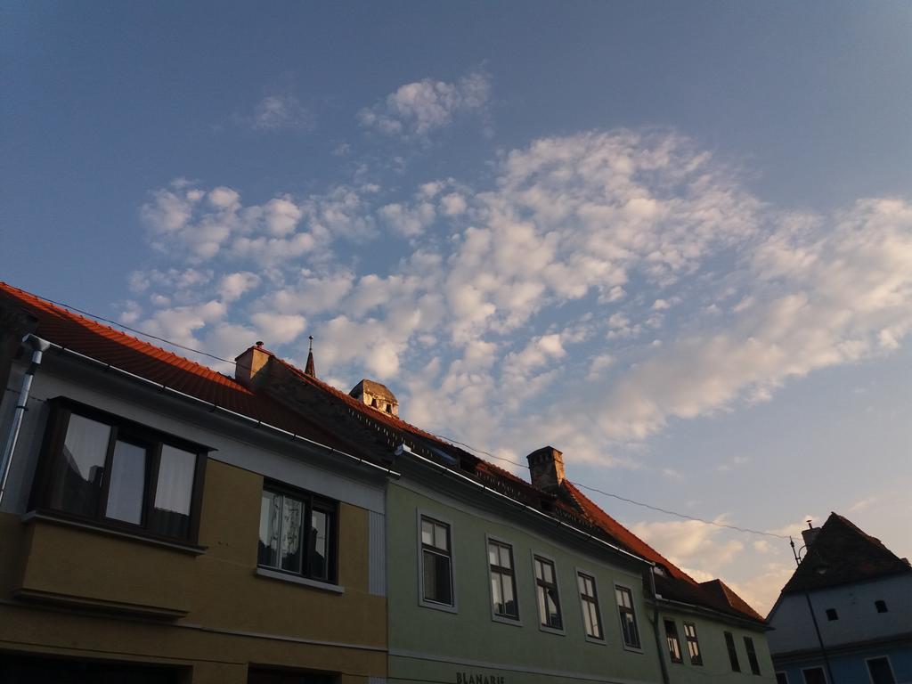 Central Apartament